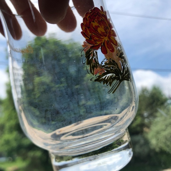 Vtg Dominion Glass November Flower of the Month Glass - Picture 5 of 9